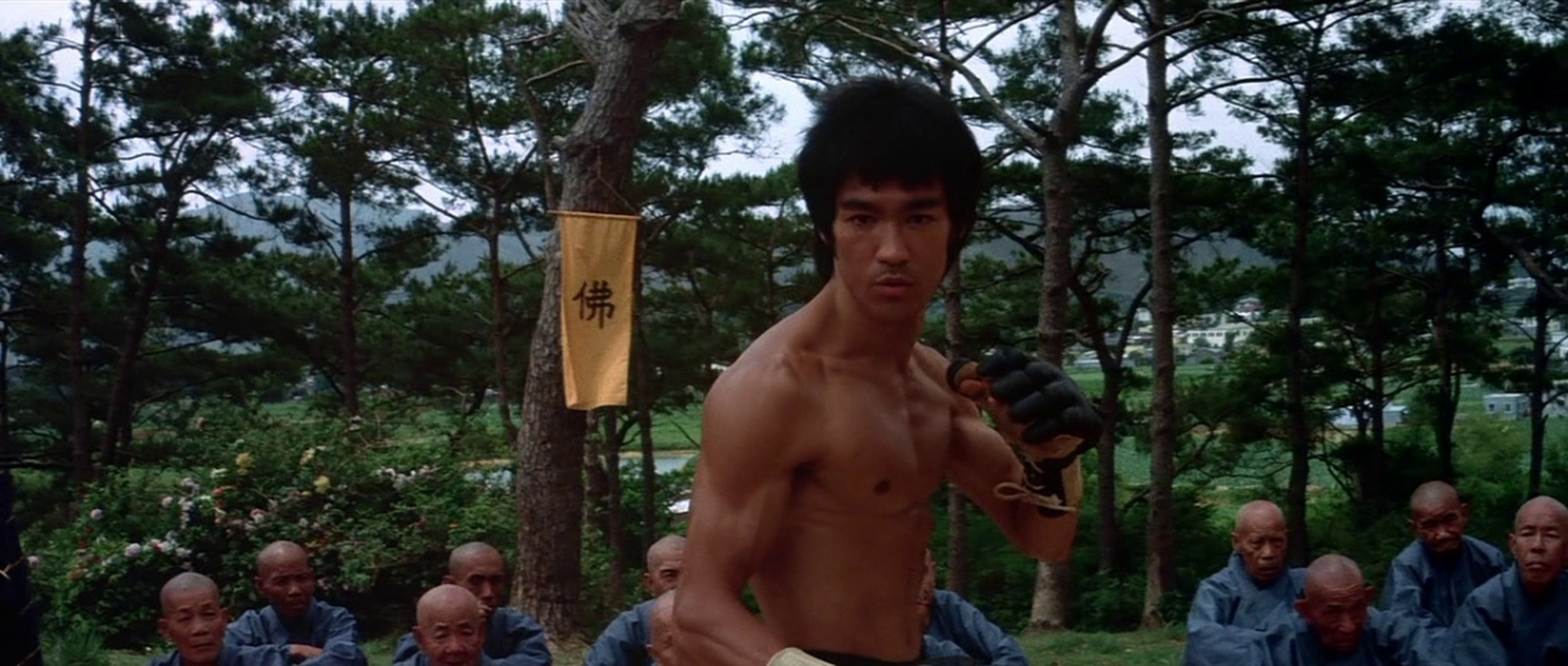 Enter the Dragon