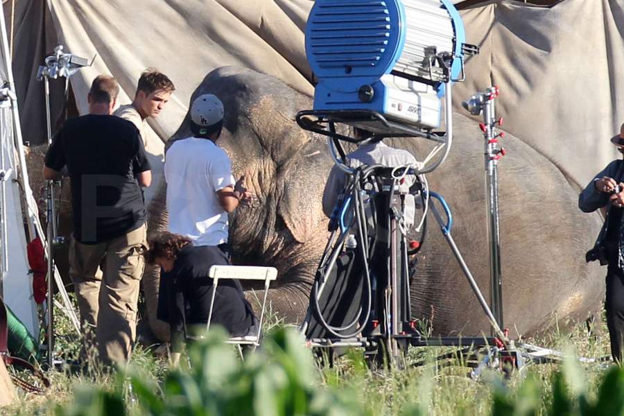 Water for Elephants