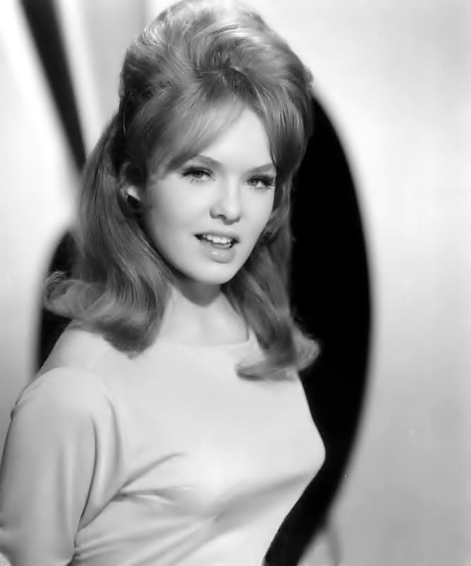 Picture Of Joey Heatherton