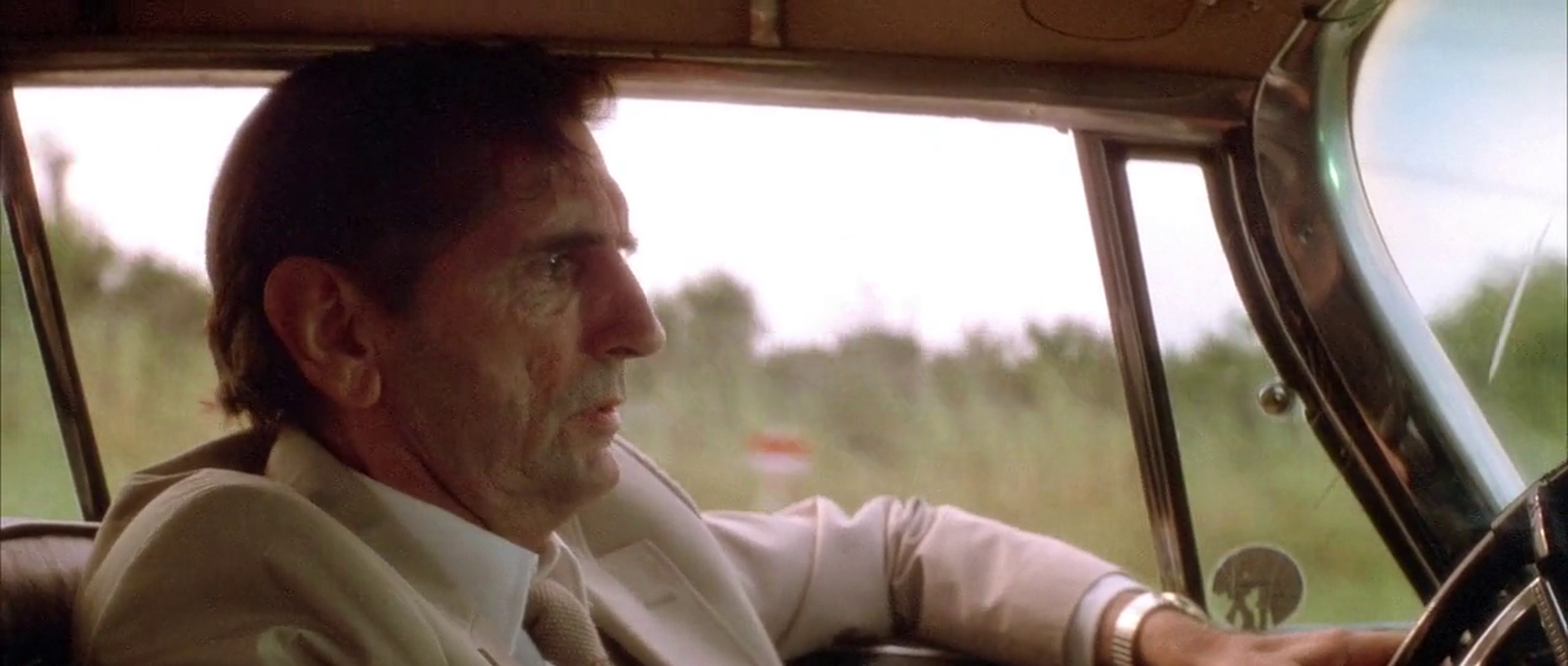 Wild at Heart Wild at Heart