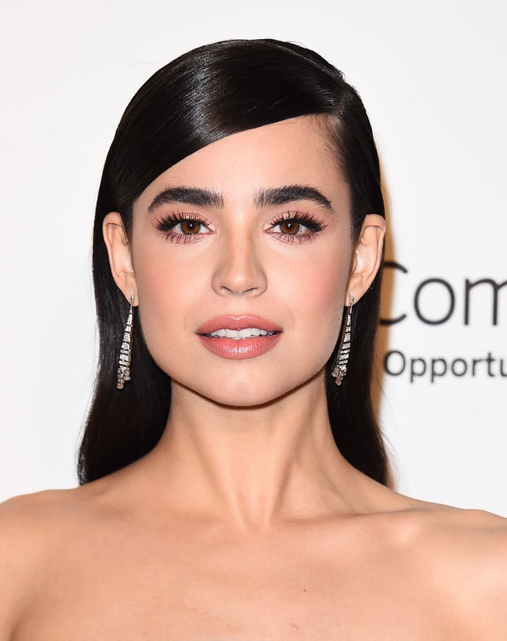 Picture Of Sofia Carson 6380