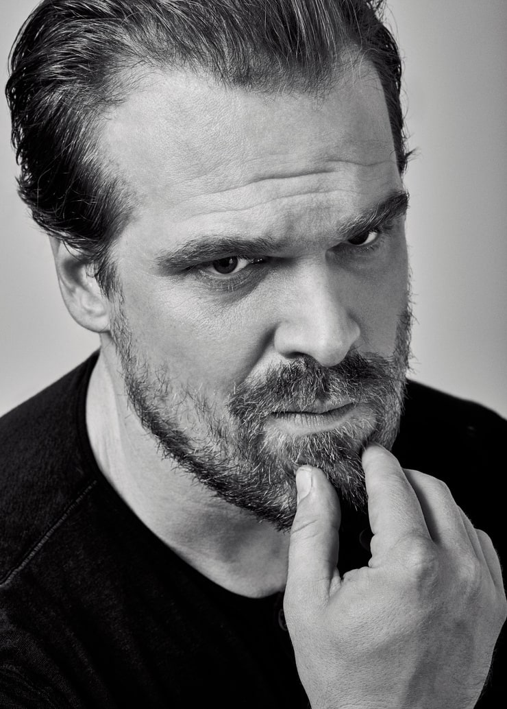Picture Of David Harbour