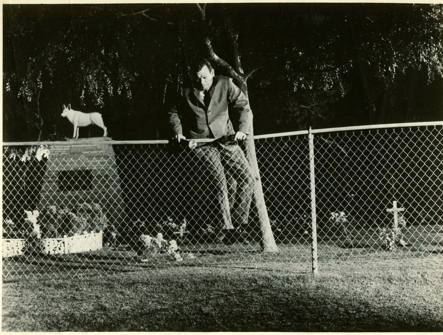 Warning Shot (1967) Warning Shot (1967)