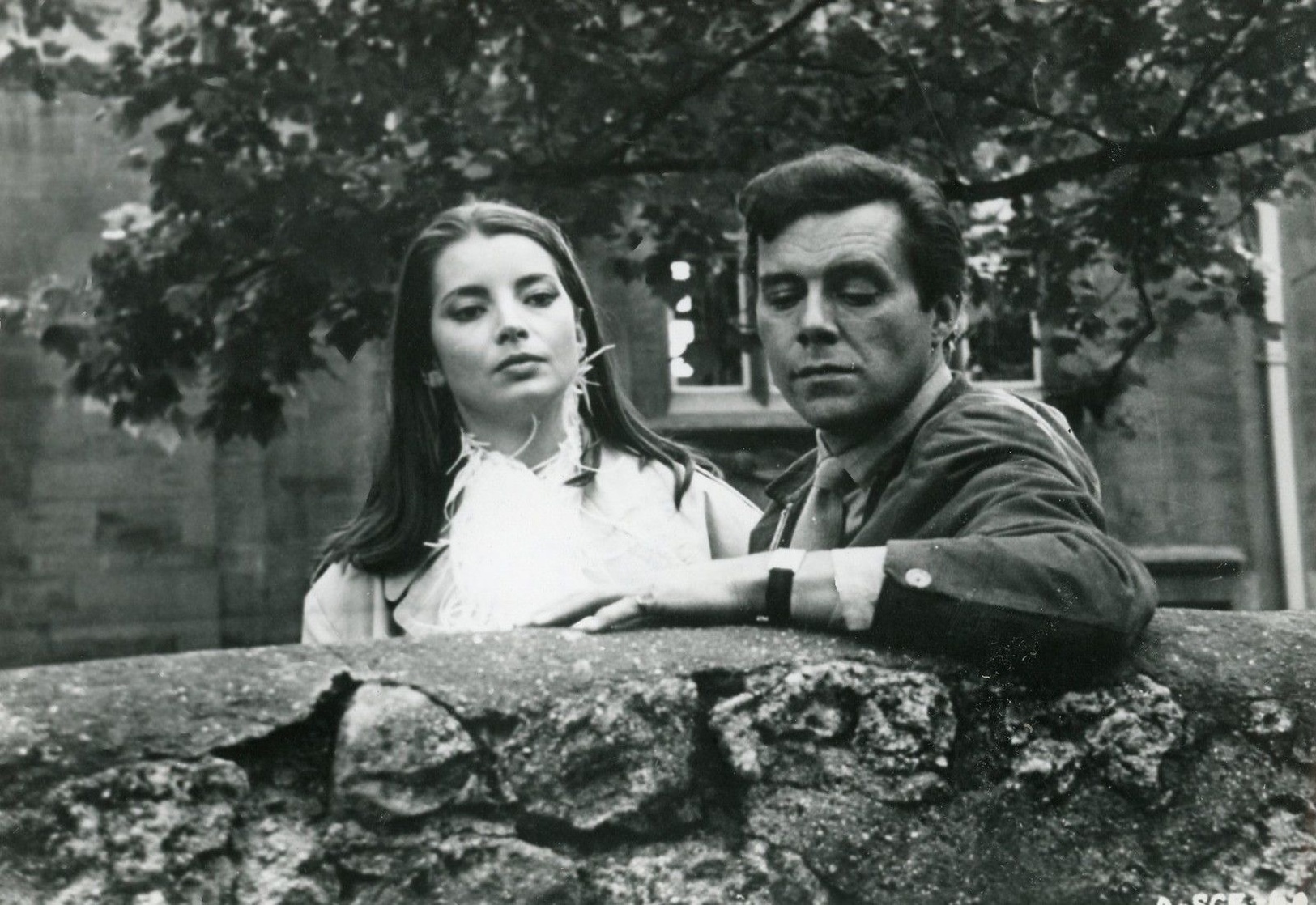 Jacqueline Sassard