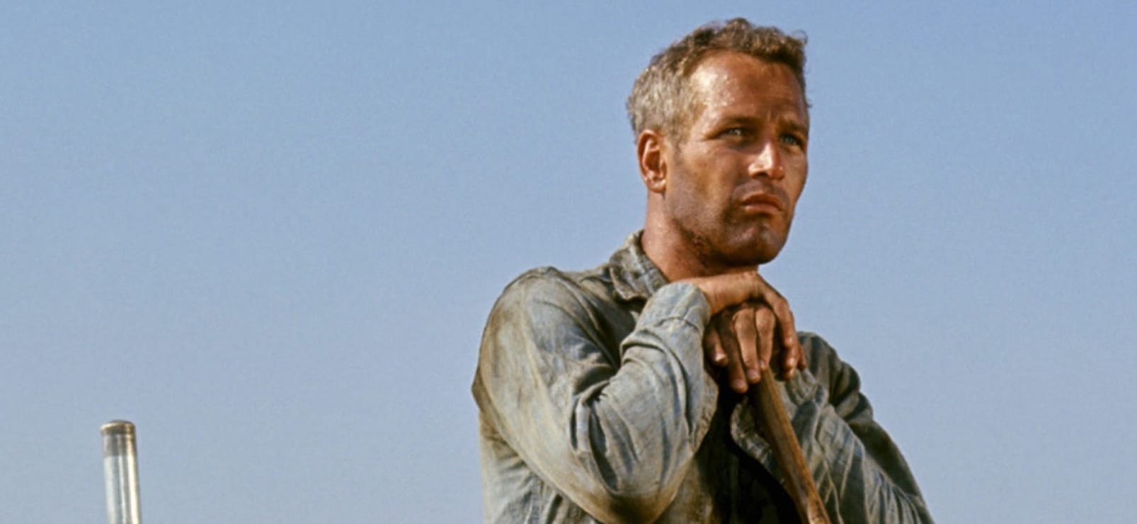 Picture Of Cool Hand Luke   740full Cool Hand Luke Screenshot 