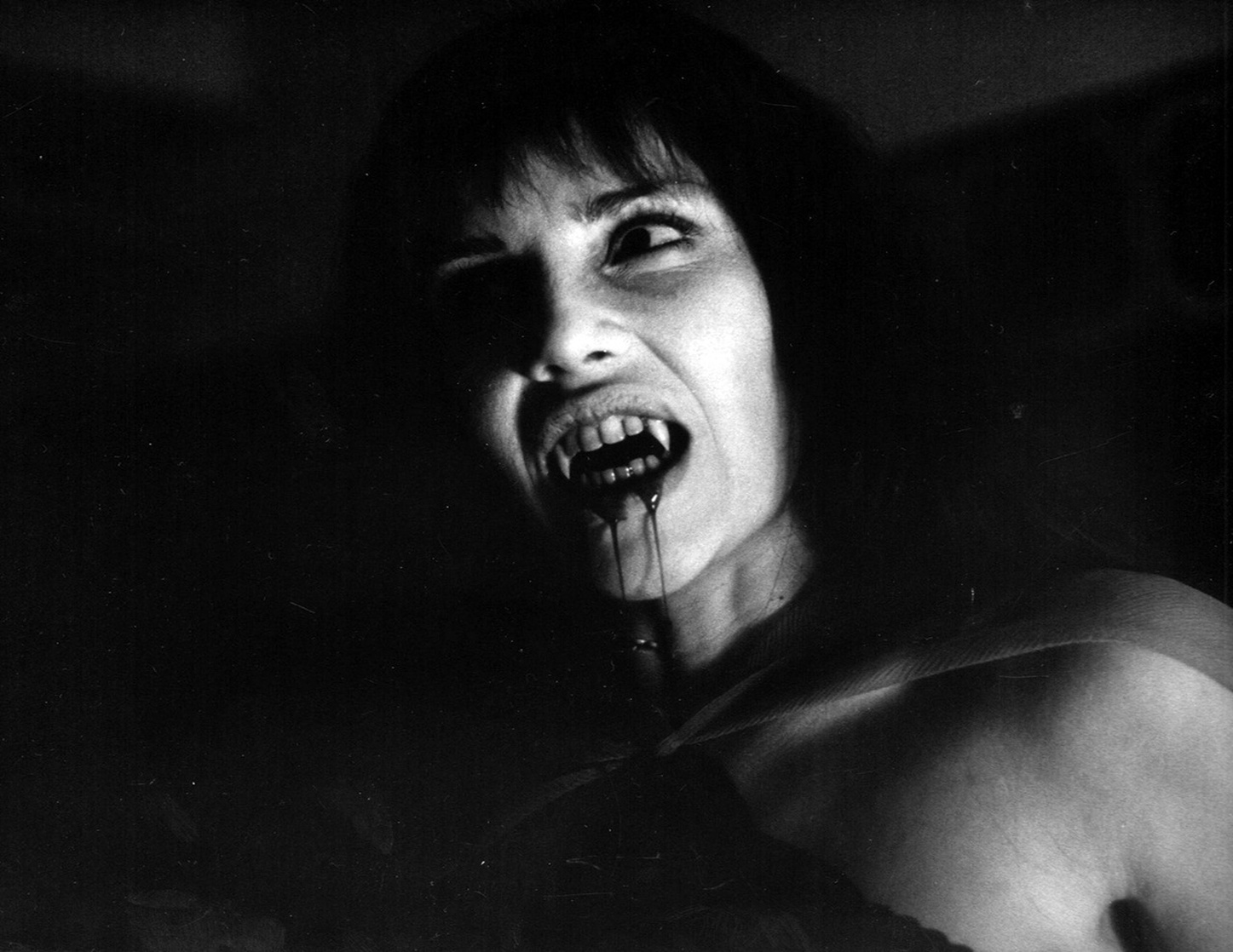 Night Of The Werewolf
