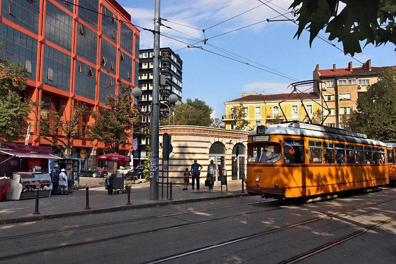 Sofia