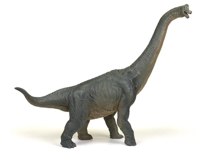 Papo The Dinosaur Figure, Brachiosaurus