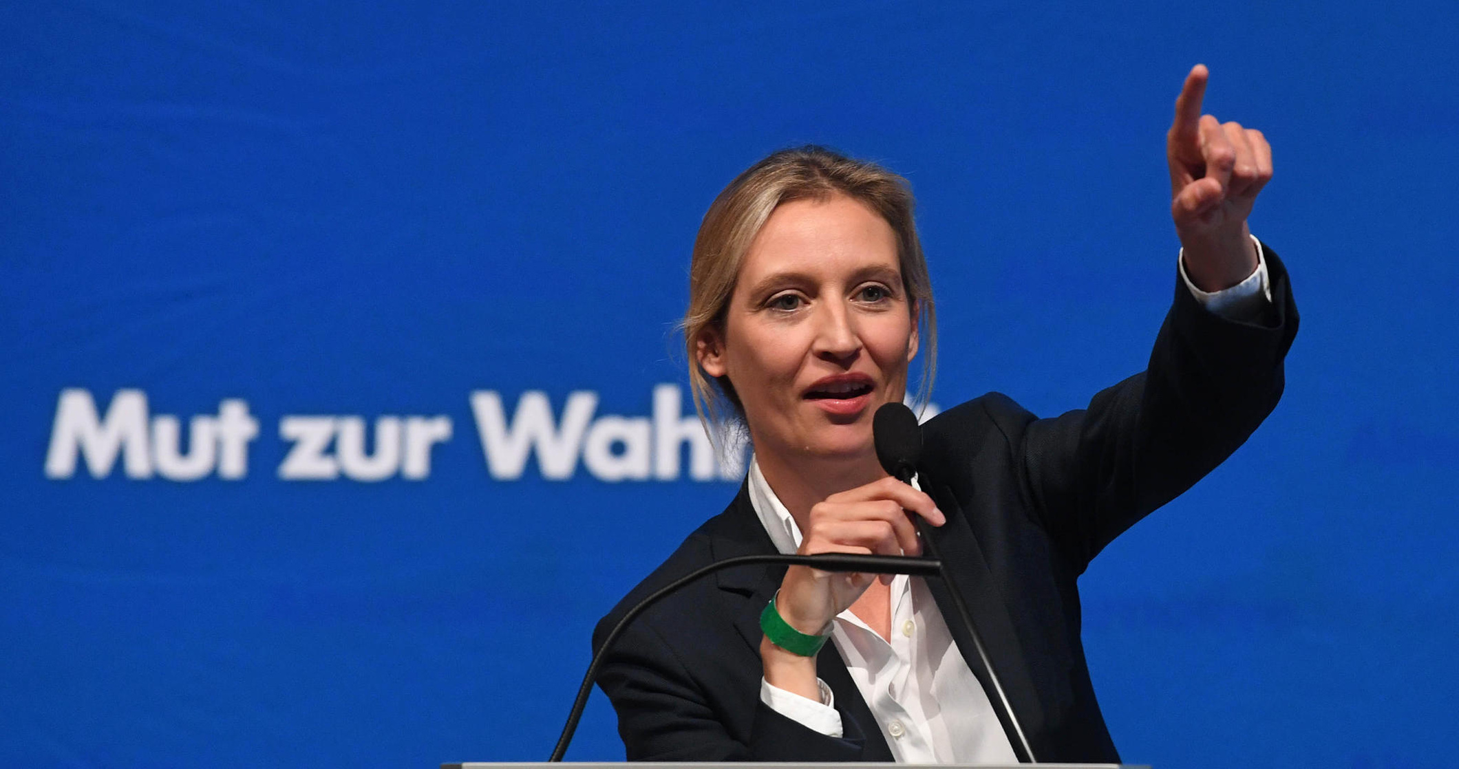 Alice Weidel