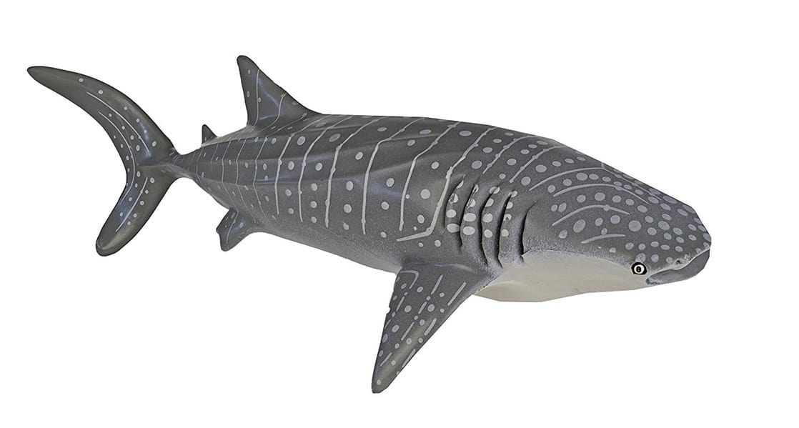 Monterey Bay Collection- Whale Shark Adult