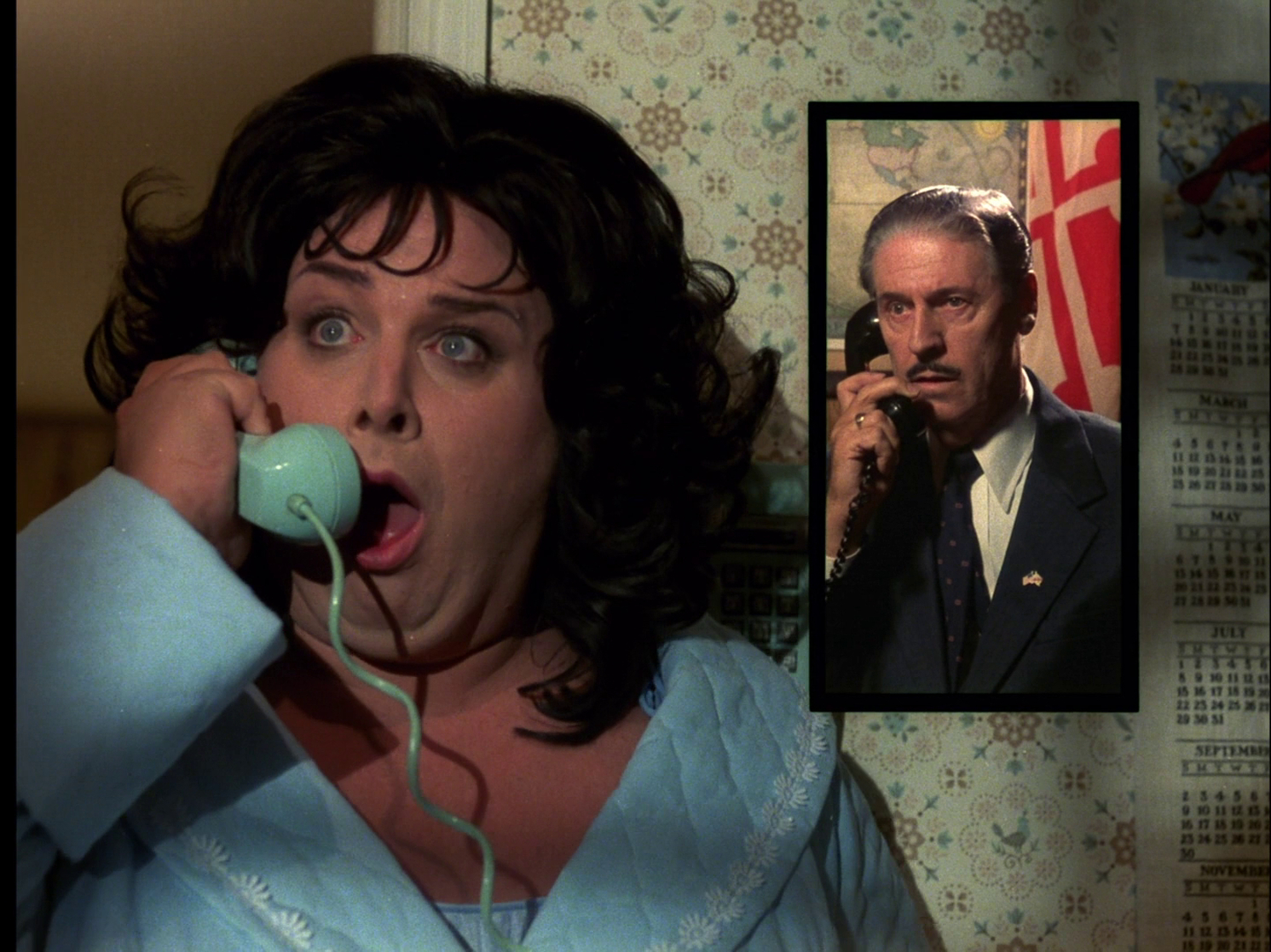 Polyester (1981)