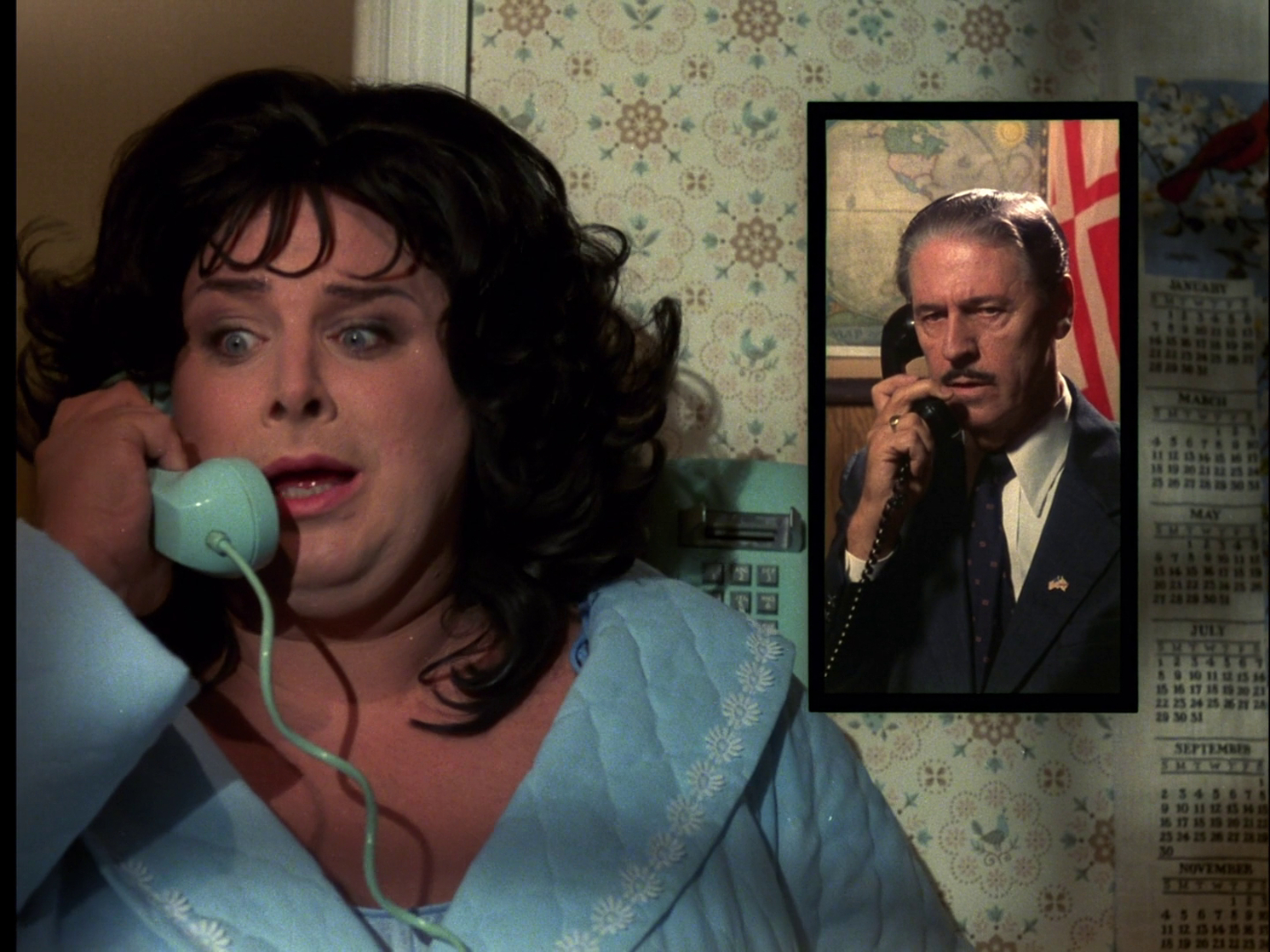 Polyester (1981)