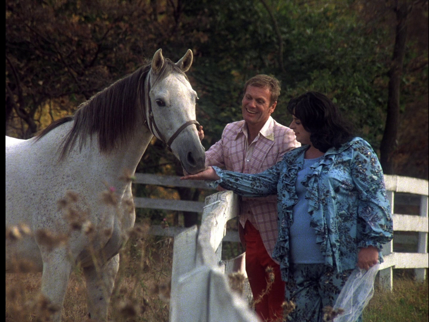 Polyester (1981)