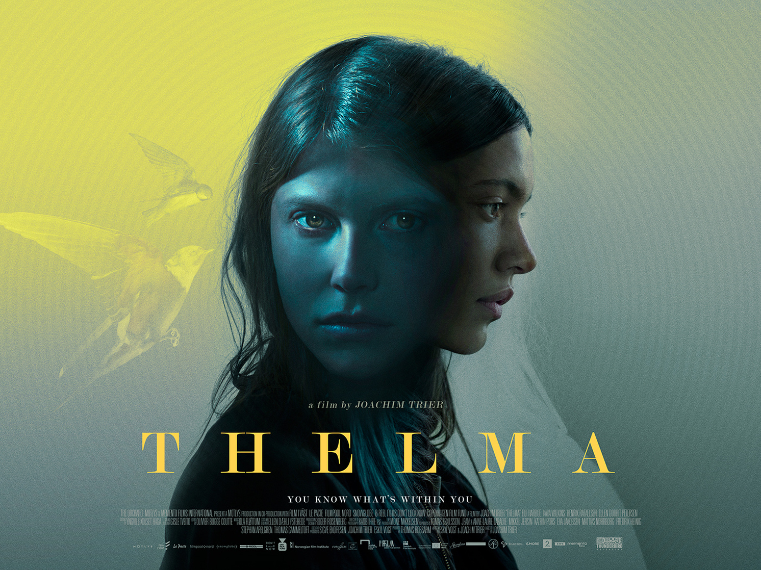Thelma Thelma