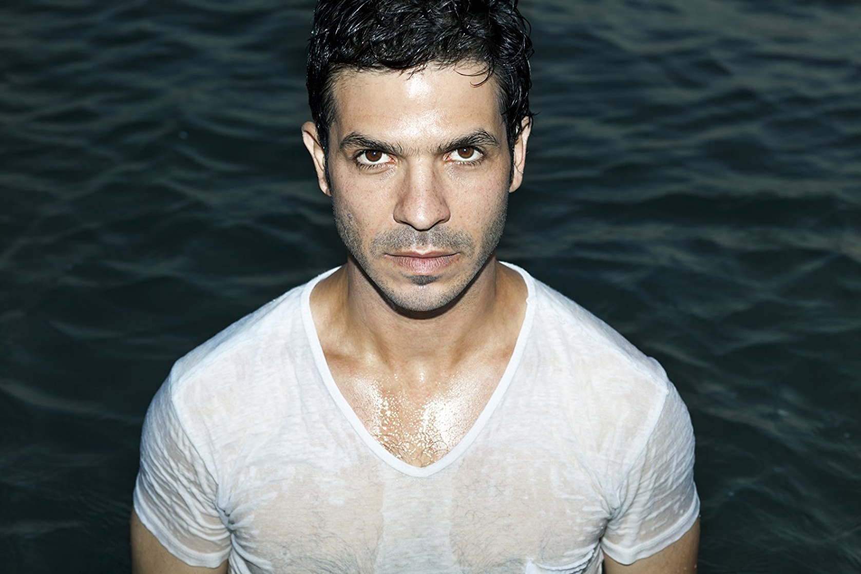 Roy Assaf