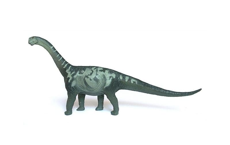 Safari Ltd Carnegie Scale Model Camarasaurus