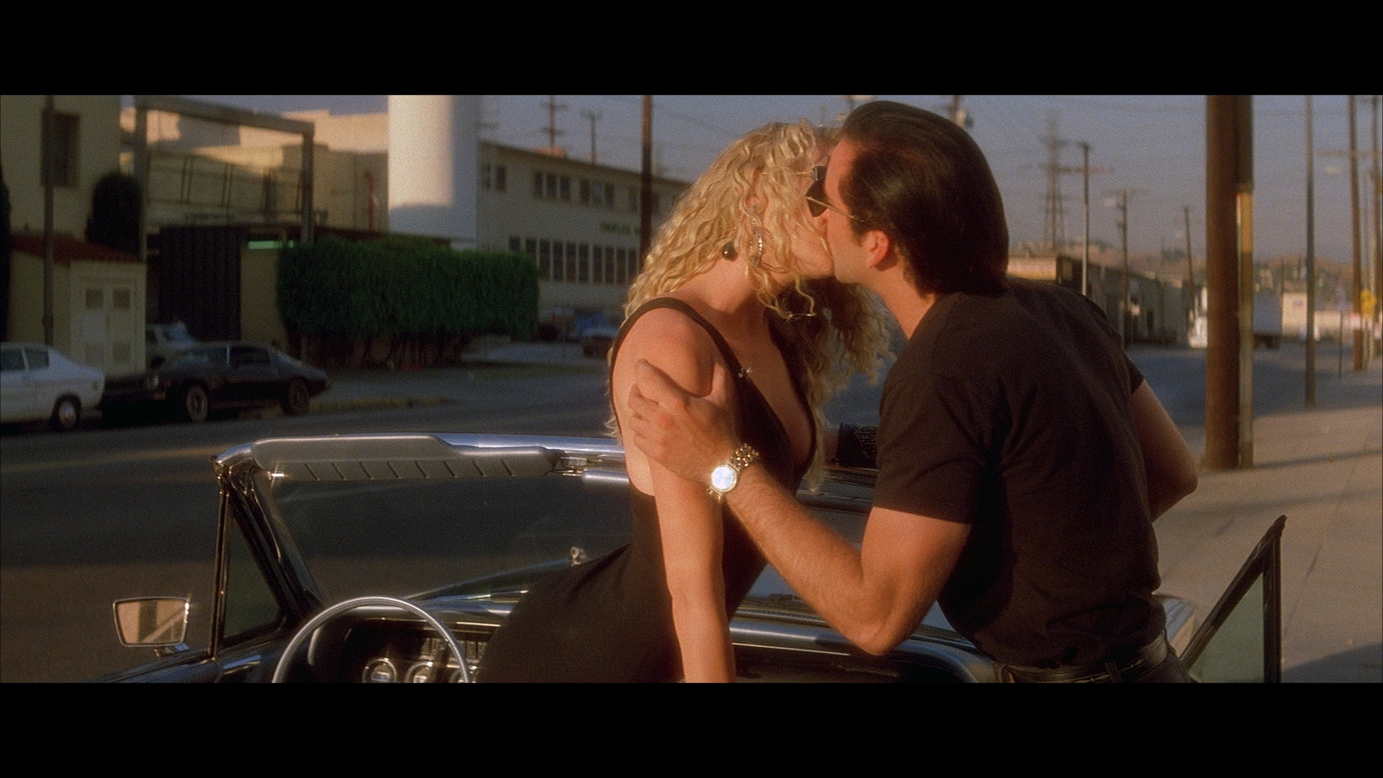 Wild at Heart Wild at Heart