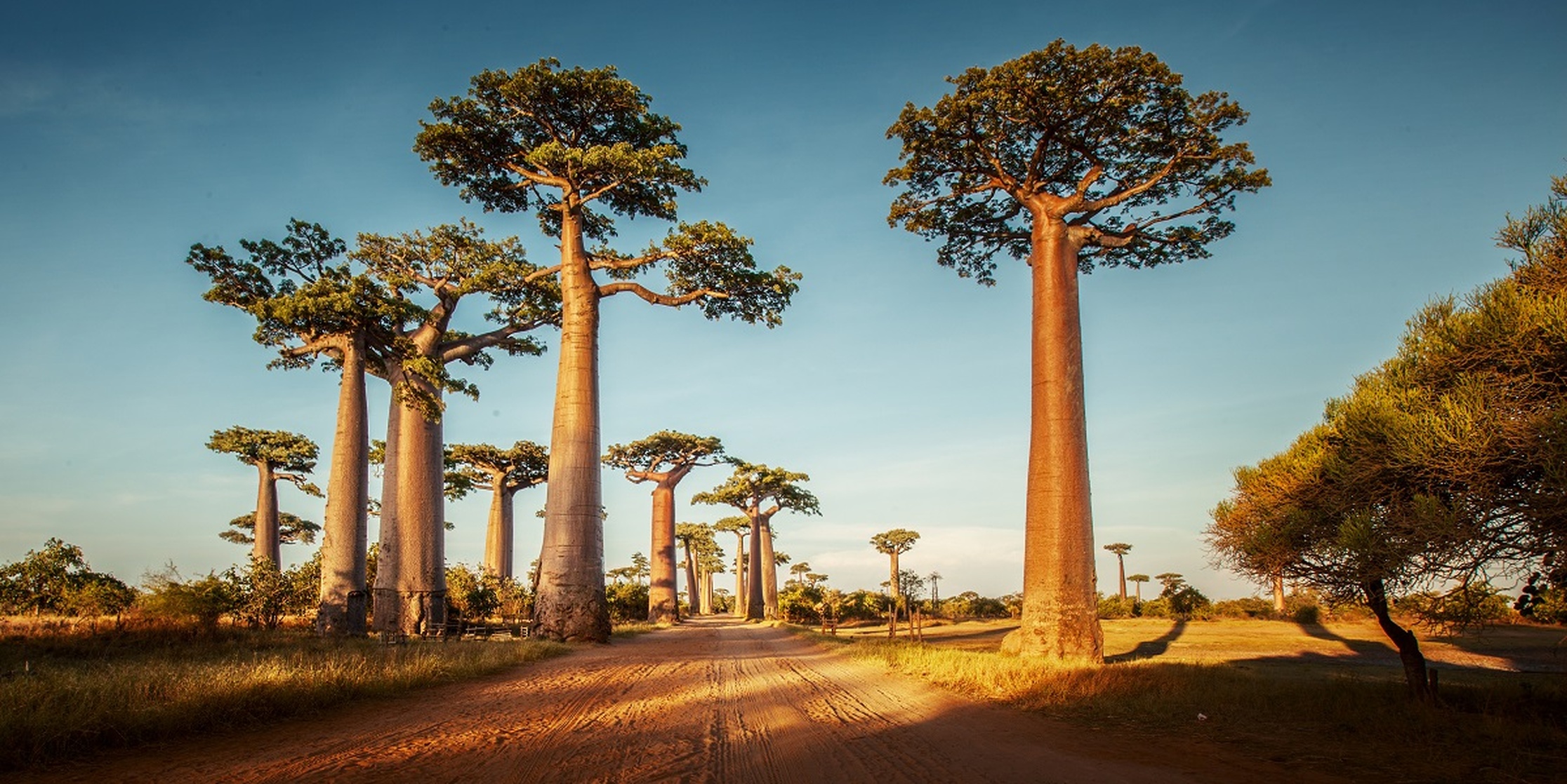 Madagascar Madagascar