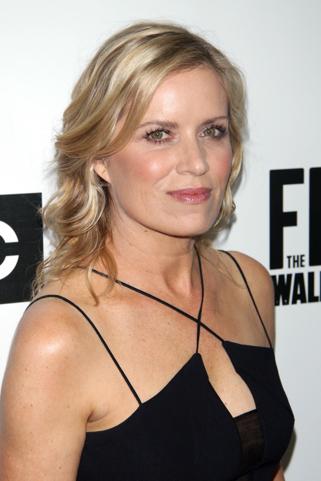 Picture Of Kim Dickens 