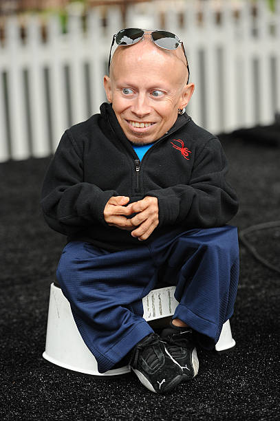 Verne Troyer