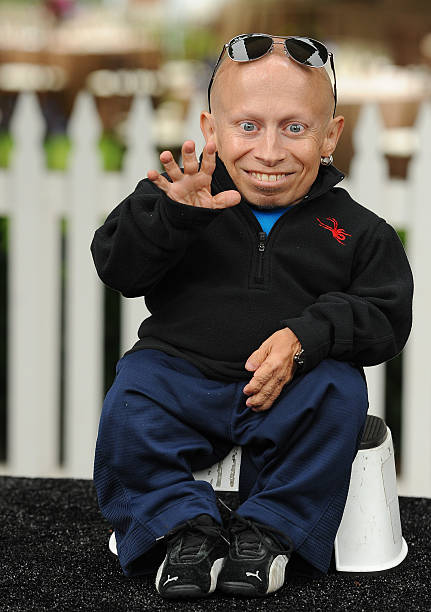 Verne Troyer