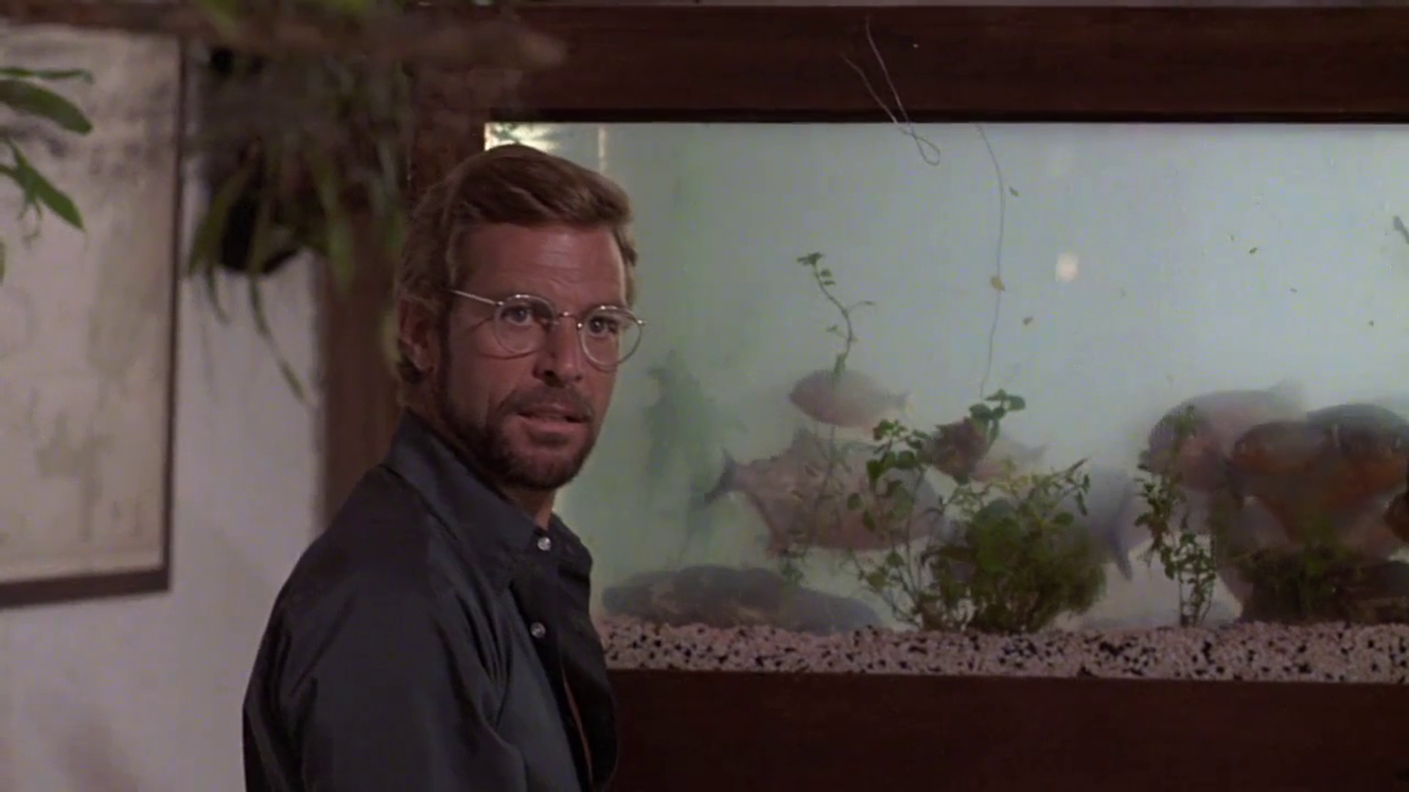 Killer Fish
