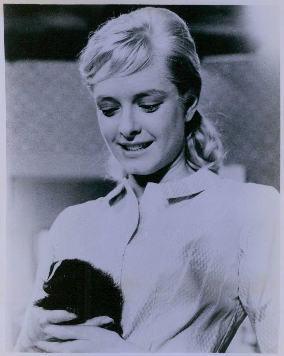 Charmaine Sinclair,Laure Sainclair Adult pic Deepika Padukone,Michael Barrymore (born 1952) Emily Jacobson saber fencer,Blanche Craig Hot pic Carol Christensen,Theresa Harris