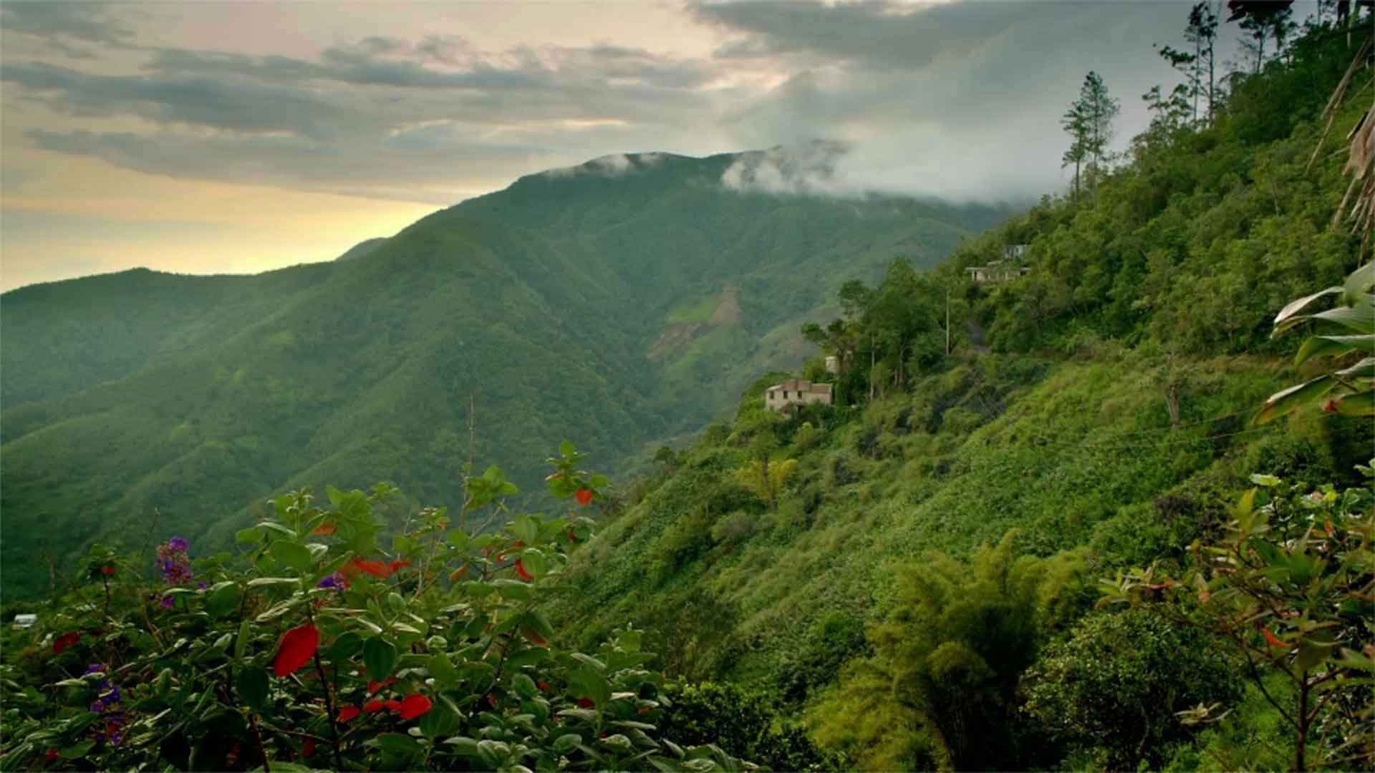 Jamaica Jamaica