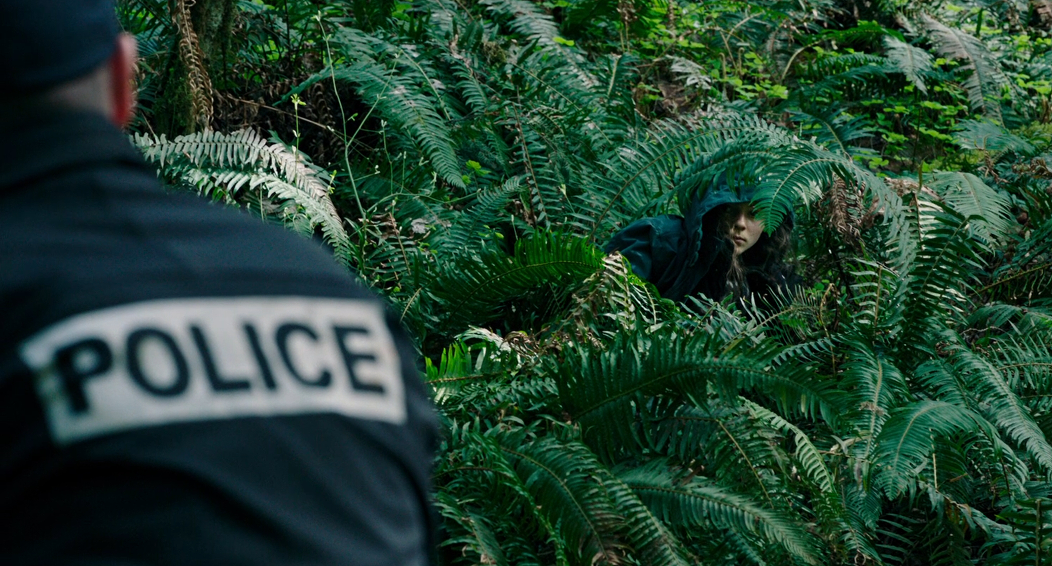picture-of-leave-no-trace