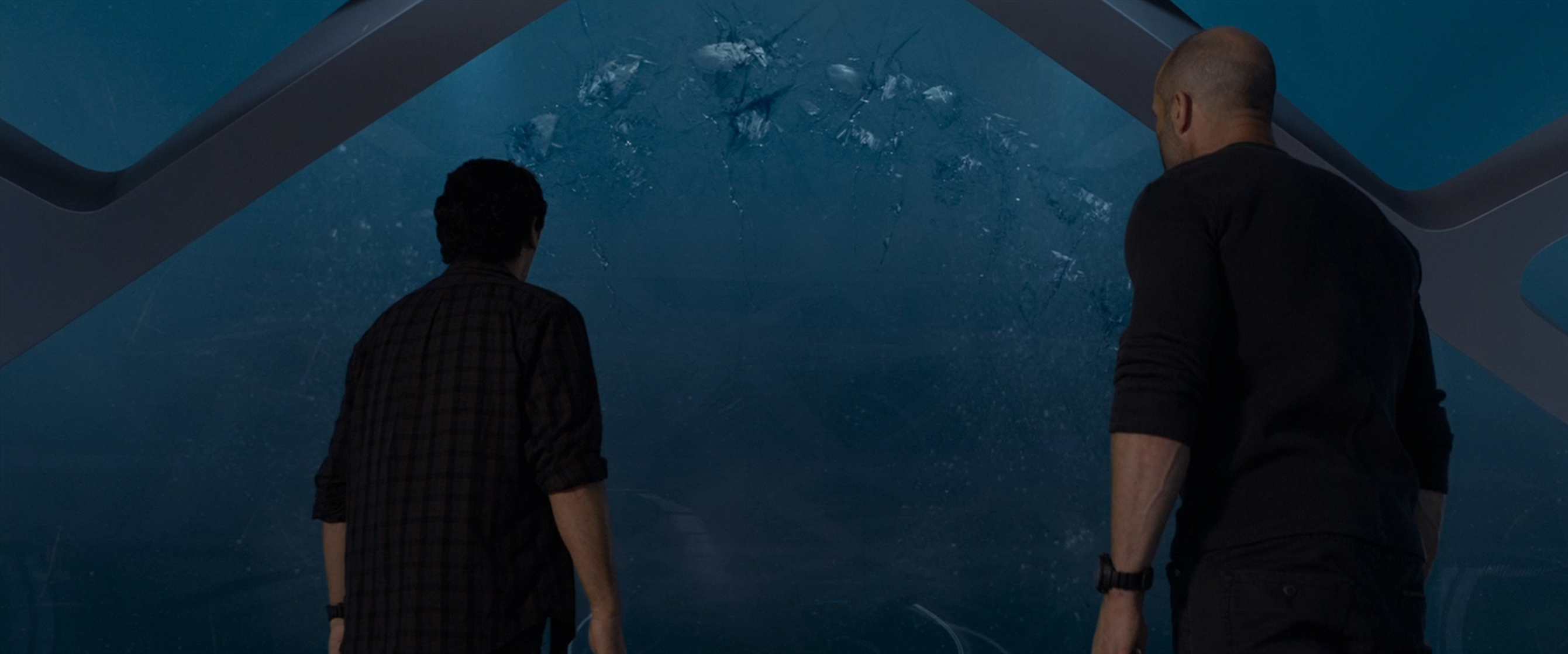 The Meg The Meg
