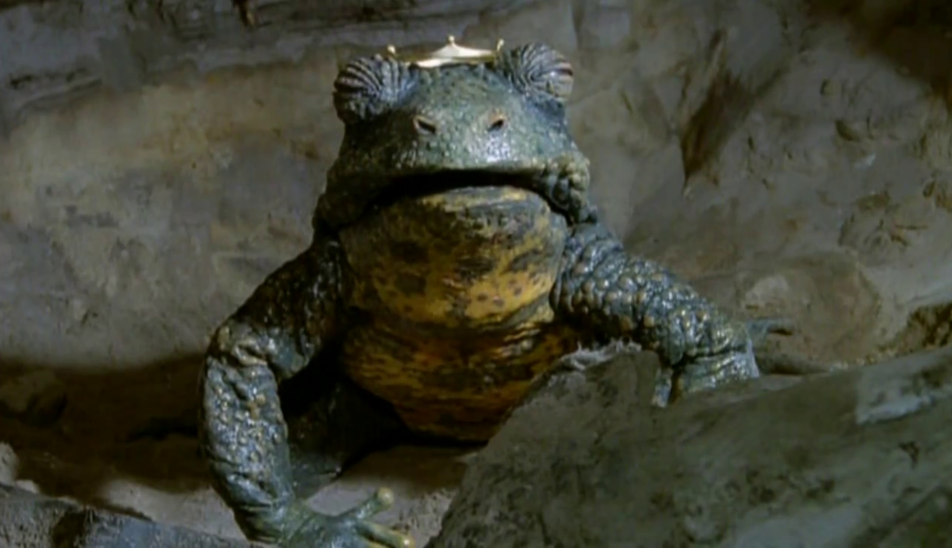 The Frog Prince