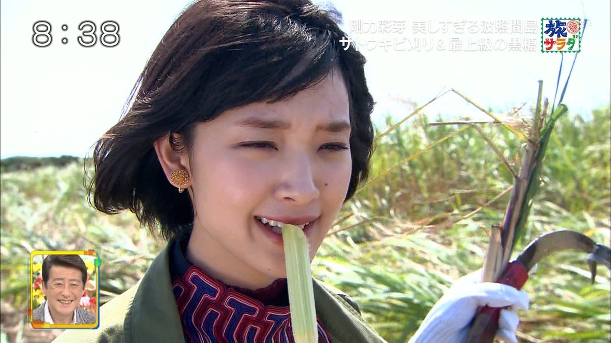 Ayame Gôriki