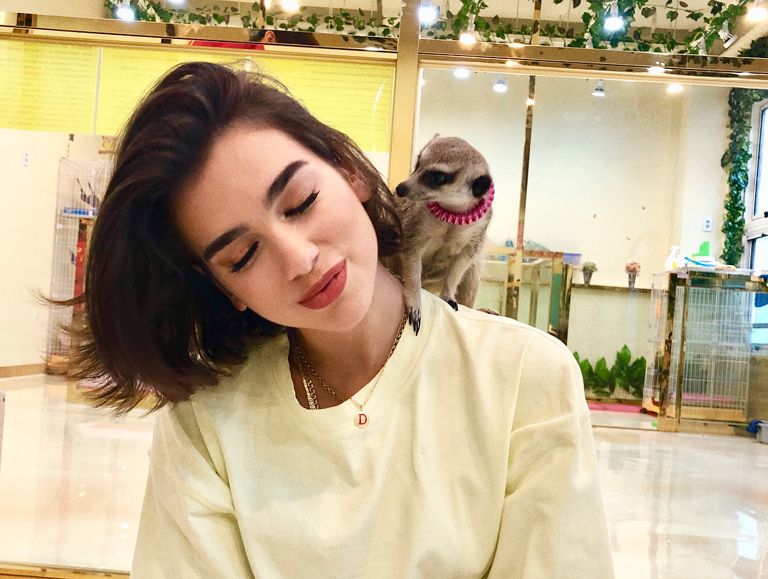 Dua Lipa
