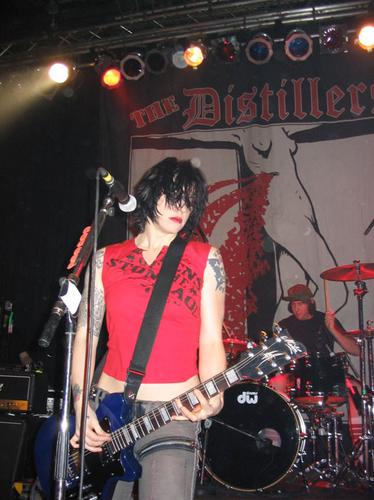 the distillers merch