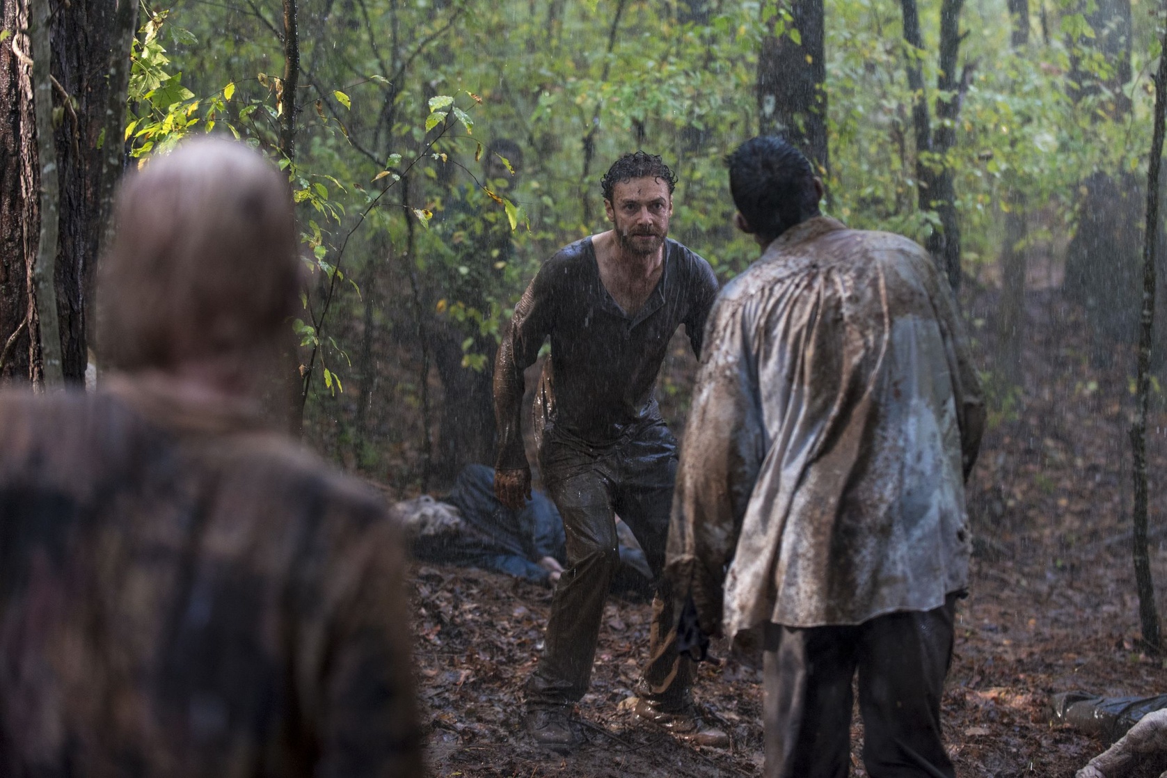 The Walking Dead The Walking Dead