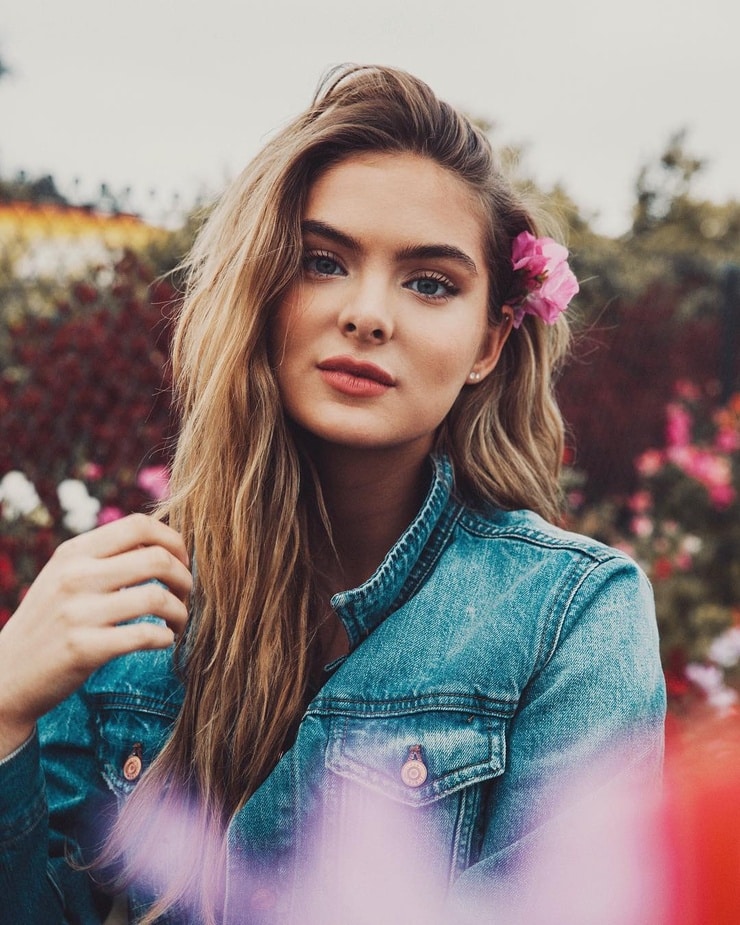 Picture of Brighton Sharbino