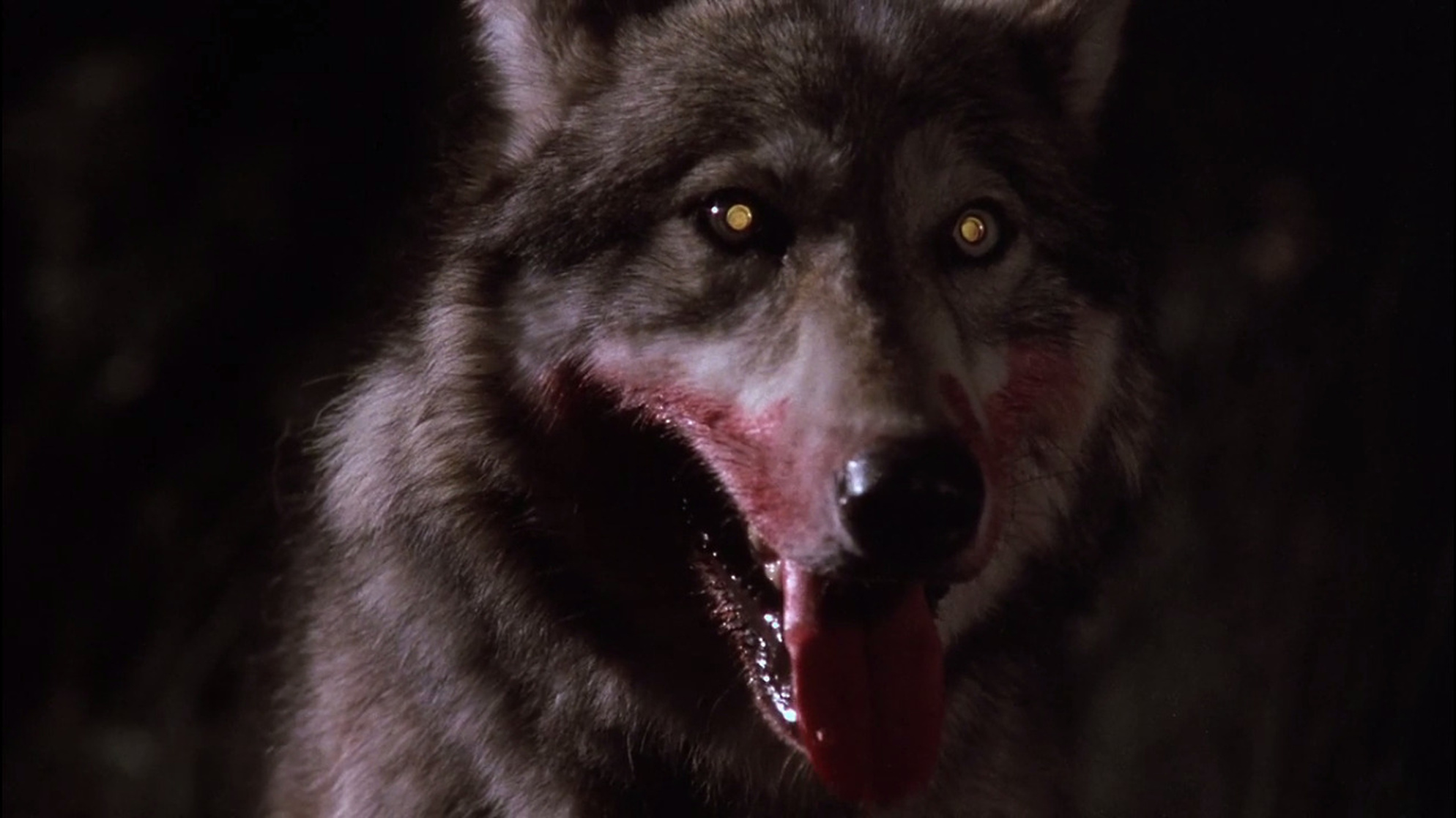 The Company of Wolves