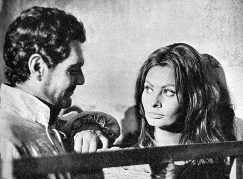Sophia Loren