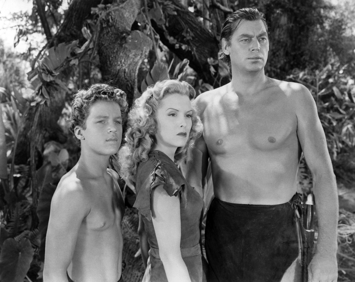 Johnny Sheffield Johnny Sheffield