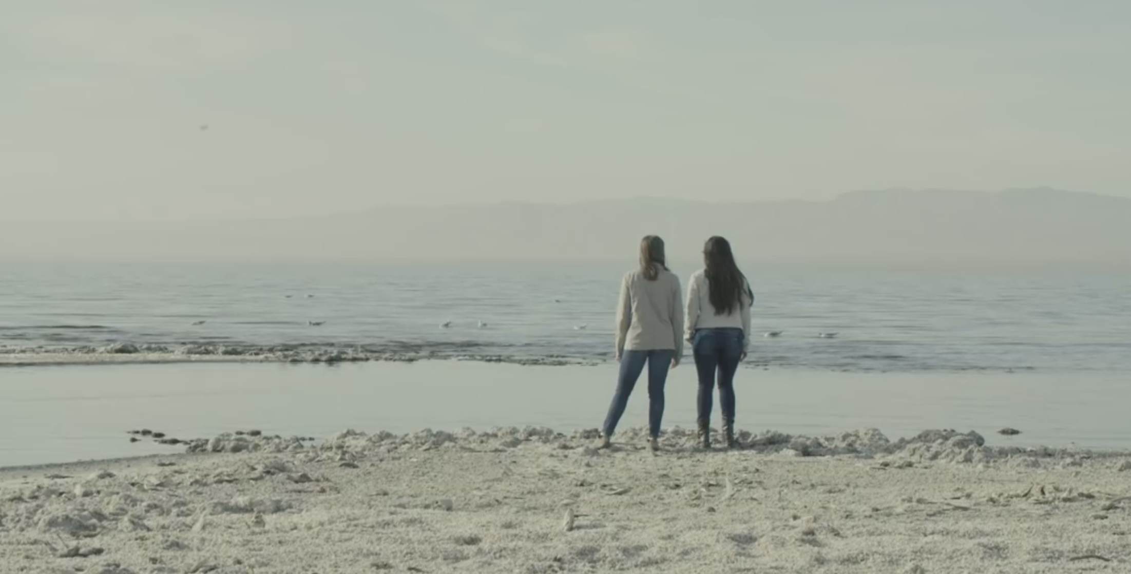 Fast Hearts                                  (2015)