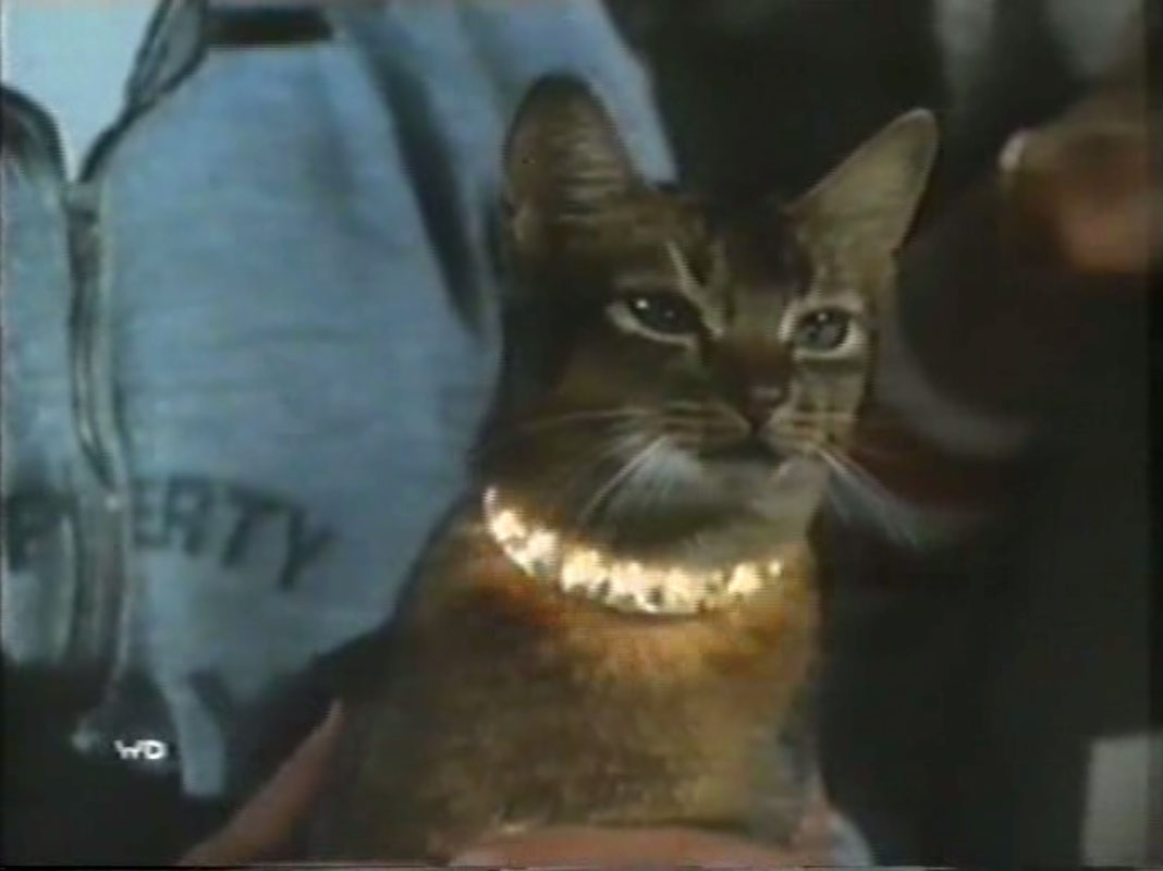 The Cat from Outer Space The Cat from Outer Space