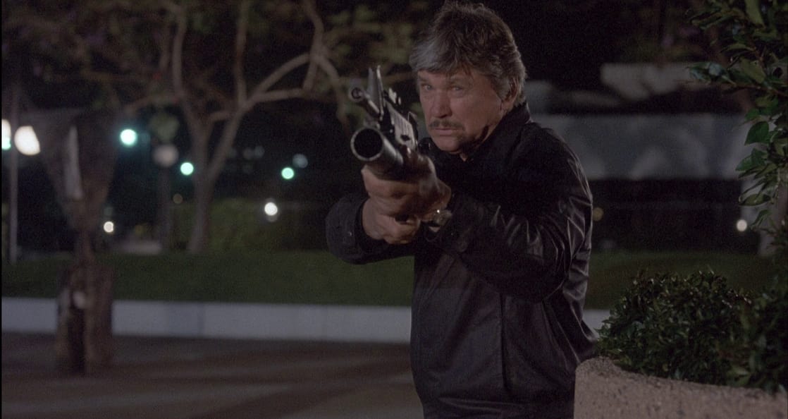 Death Wish 4: The Crackdown