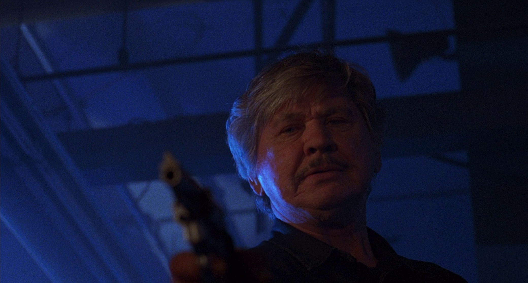 Death Wish V: The Face of Death