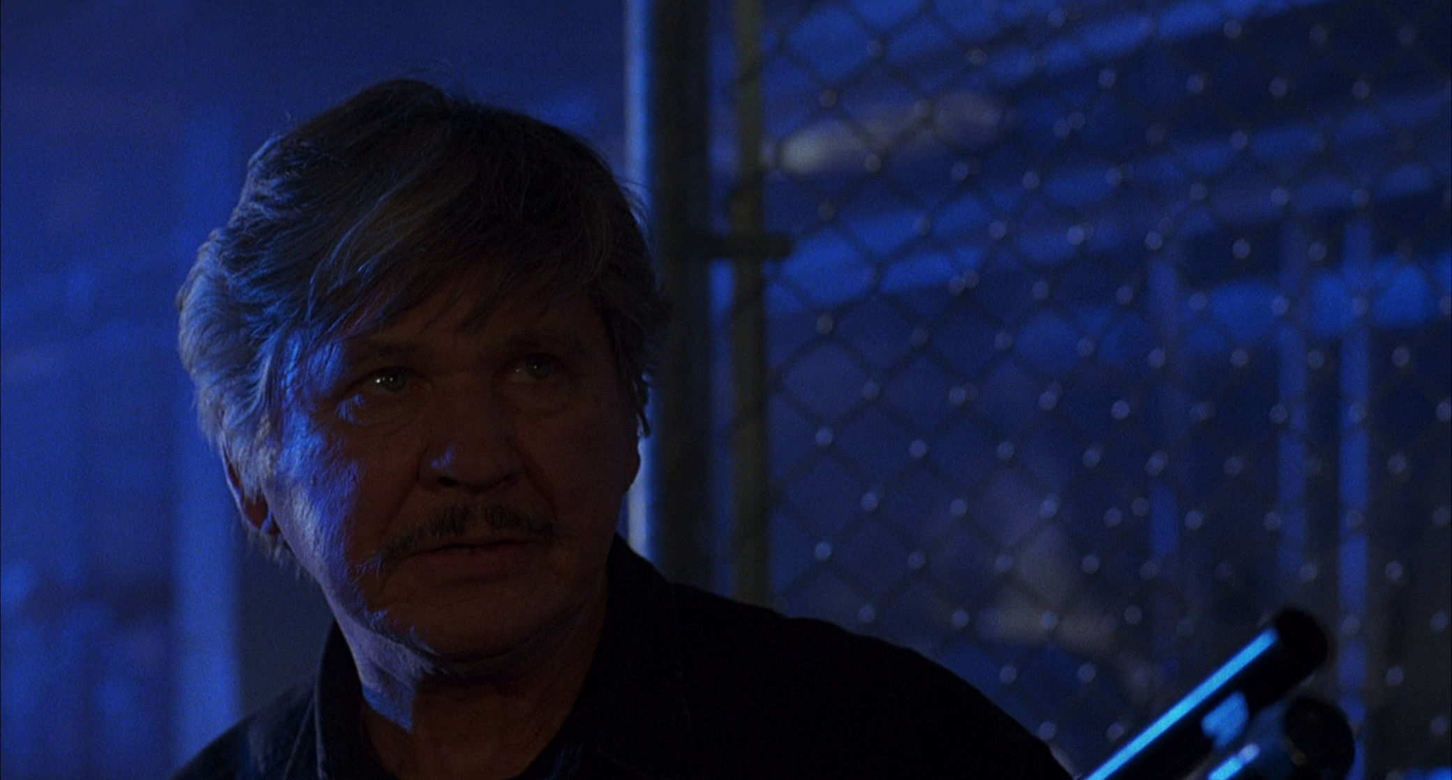 Death Wish V: The Face of Death