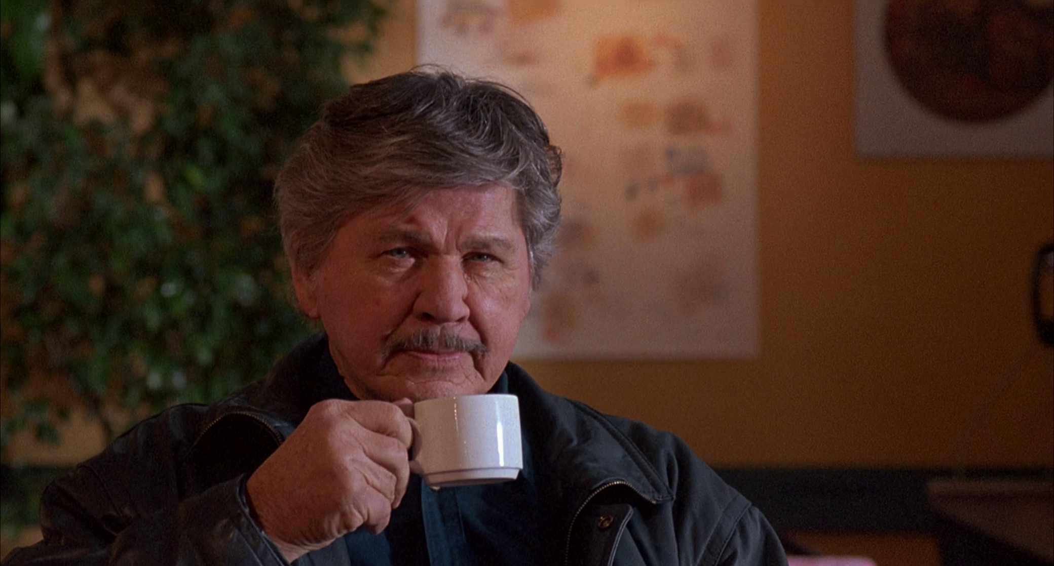Death Wish V: The Face of Death Death Wish V: The Face of Death