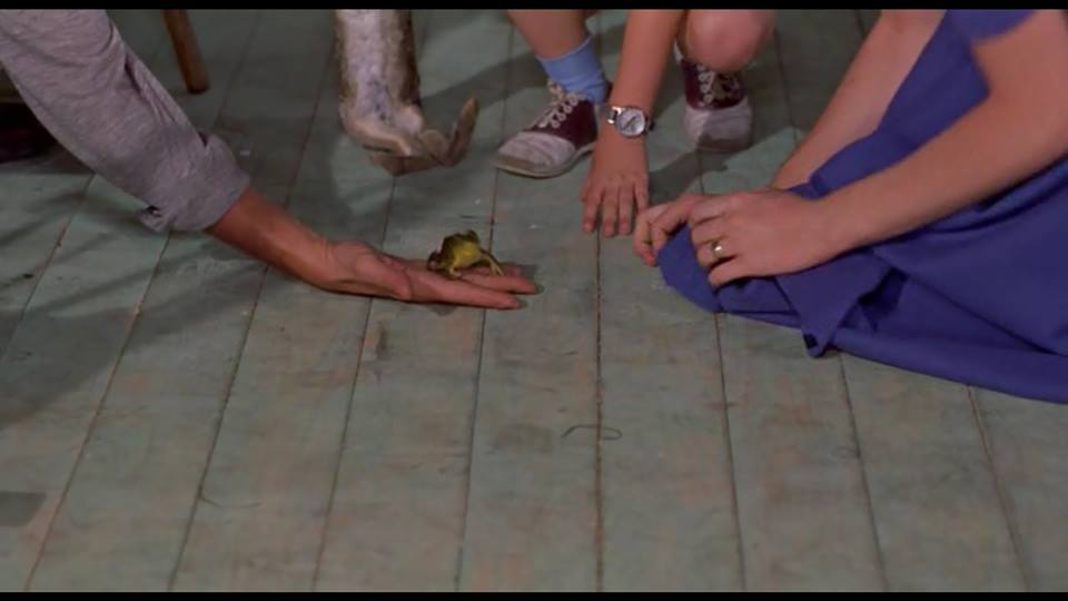 The Trouble with Harry (1955)