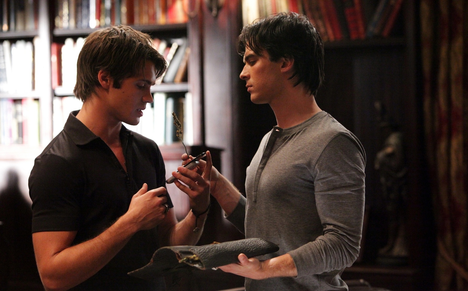Ian Somerhalder