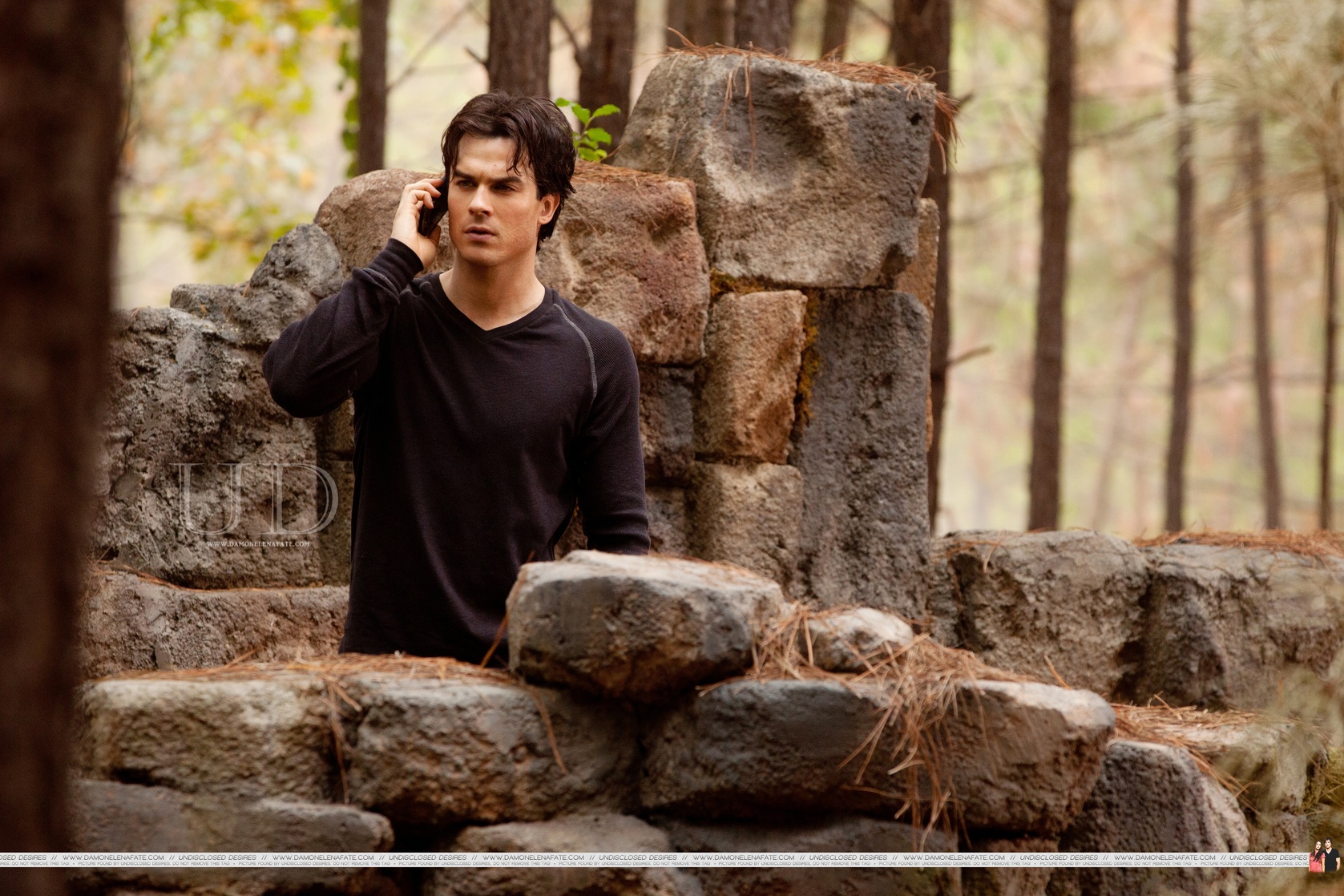 Ian Somerhalder