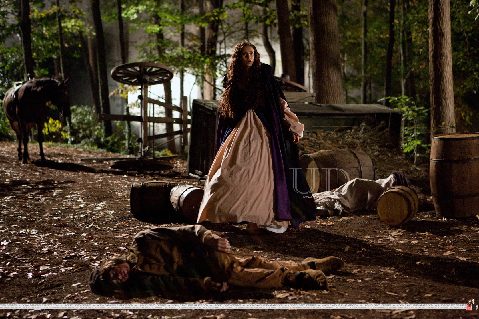 The Vampire Diaries