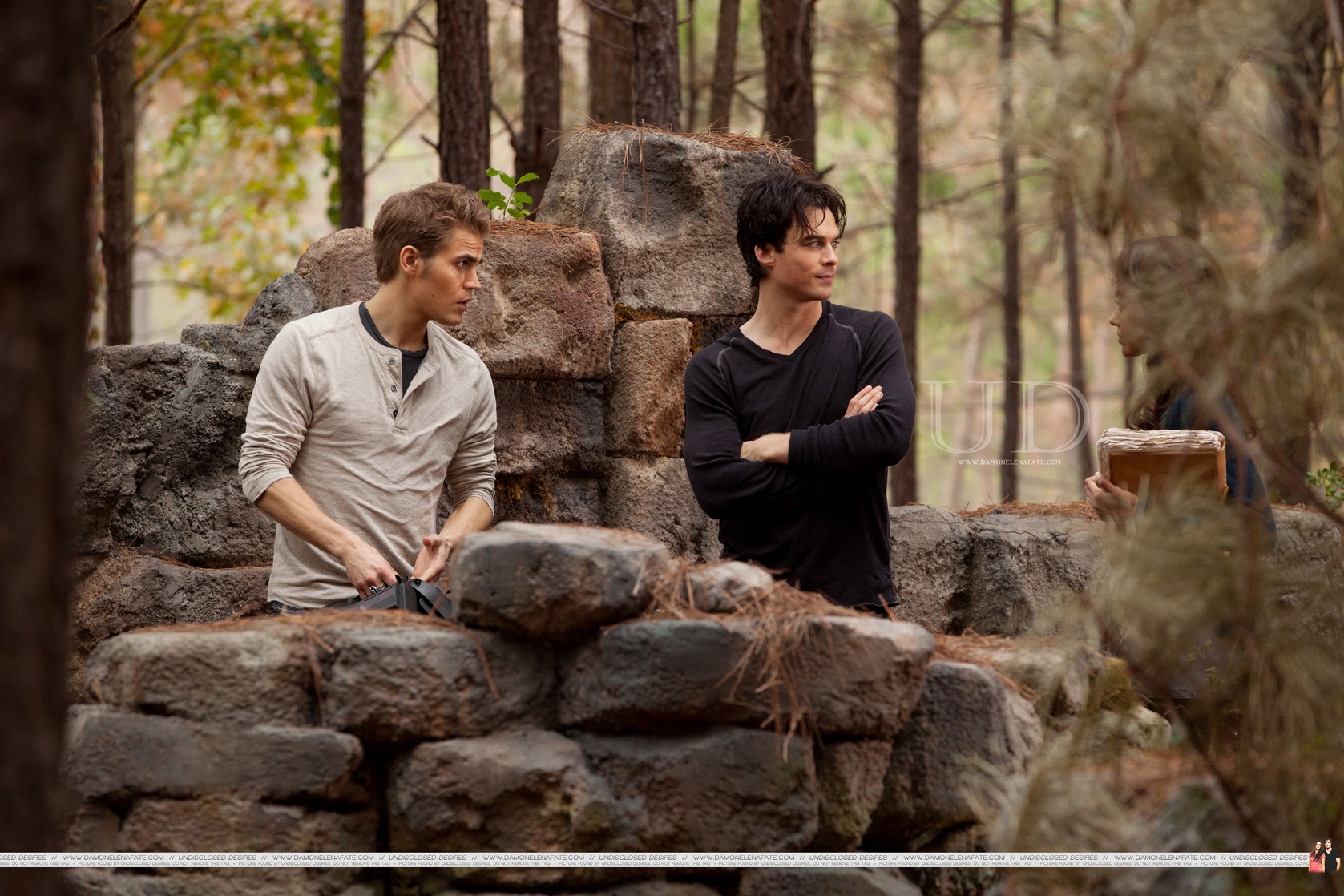 The Vampire Diaries